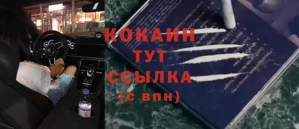 мяу мяу мука Аркадак