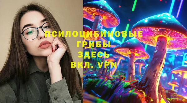 мдпв Арсеньев