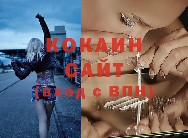 мяу мяу мука Аркадак