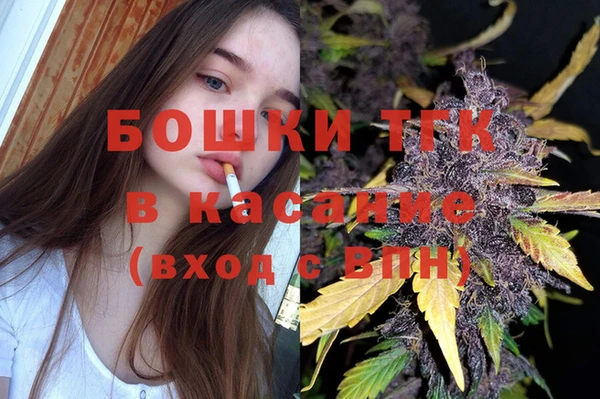 сатива Армянск