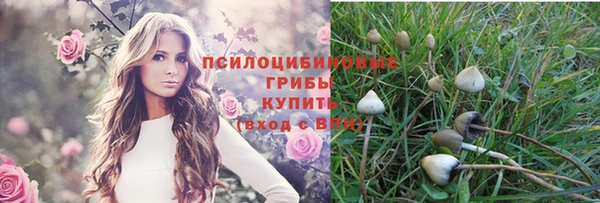 мдпв Арсеньев