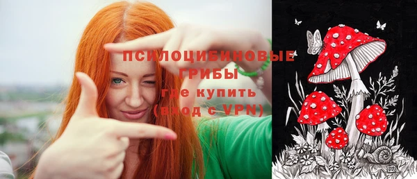 сатива Армянск