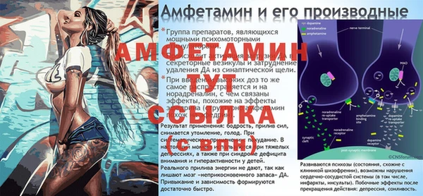 сатива Армянск