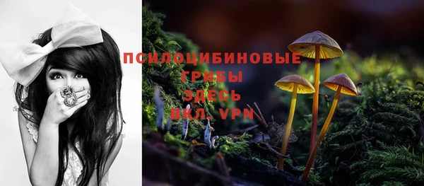 сатива Армянск