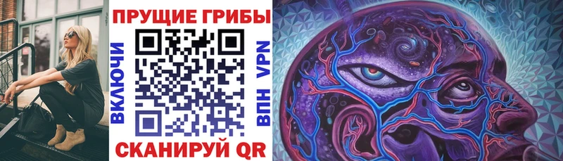 что такое   blacksprut tor  Псилоцибиновые грибы Psilocybine cubensis  Камбарка 